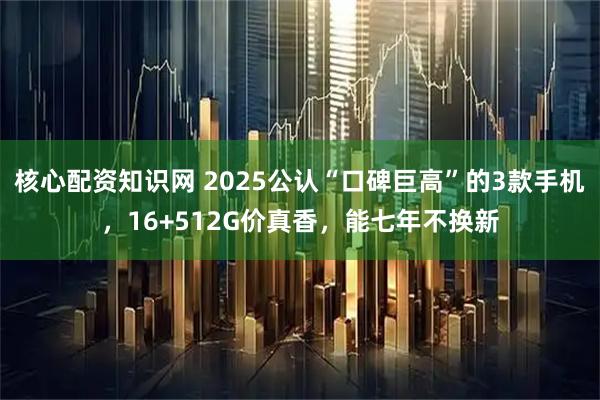 核心配资知识网 2025公认“口碑巨高”的3款手机，16+512G价真香，能七年不换新
