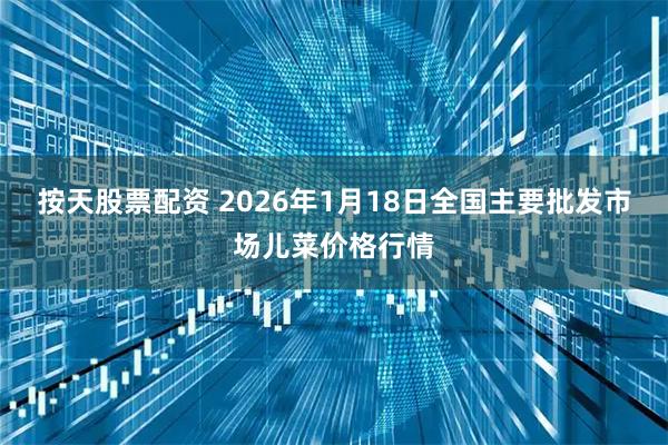 按天股票配资 2026年1月18日全国主要批发市场儿菜价格行情