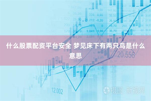 什么股票配资平台安全 梦见床下有两只鸟是什么意思
